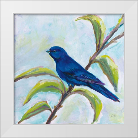 Indigo Bunting White Modern Wood Framed Art Print by Vertentes, Jeanette