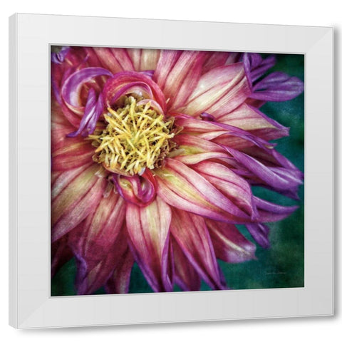 Dahlia I White Modern Wood Framed Art Print by Van Swearingen, Debra
