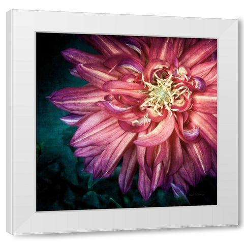 Dahlia II White Modern Wood Framed Art Print by Van Swearingen, Debra