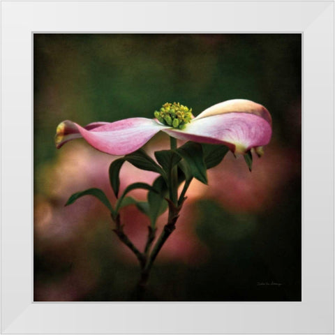Pink Dogwood I White Modern Wood Framed Art Print by Van Swearingen, Debra