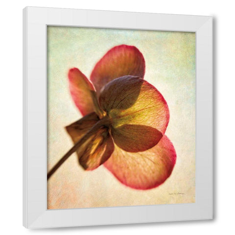 Lenton Rose I White Modern Wood Framed Art Print by Van Swearingen, Debra