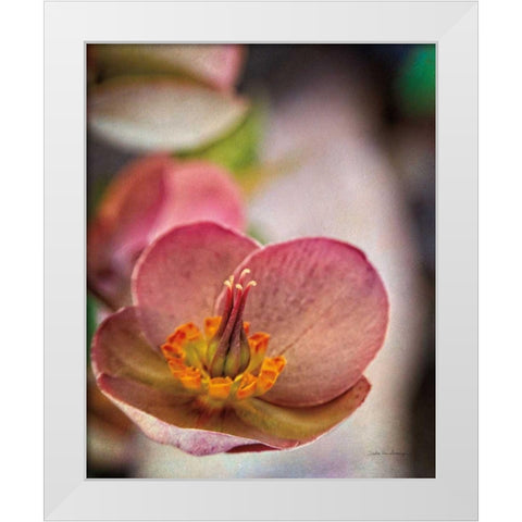 Lenton Rose III White Modern Wood Framed Art Print by Van Swearingen, Debra