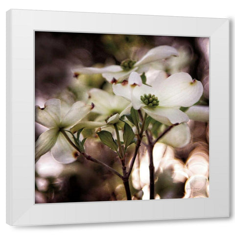 White Dogwood II White Modern Wood Framed Art Print by Van Swearingen, Debra