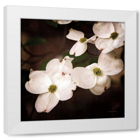 White Dogwood III White Modern Wood Framed Art Print by Van Swearingen, Debra