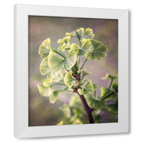Sprouting Ginkgo I White Modern Wood Framed Art Print by Van Swearingen, Debra