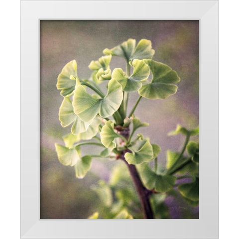 Sprouting Ginkgo I White Modern Wood Framed Art Print by Van Swearingen, Debra