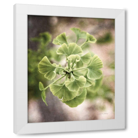 Sprouting Ginkgo II White Modern Wood Framed Art Print by Van Swearingen, Debra