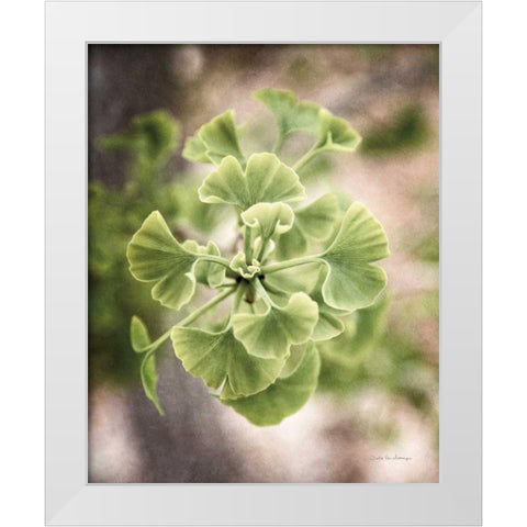 Sprouting Ginkgo II White Modern Wood Framed Art Print by Van Swearingen, Debra