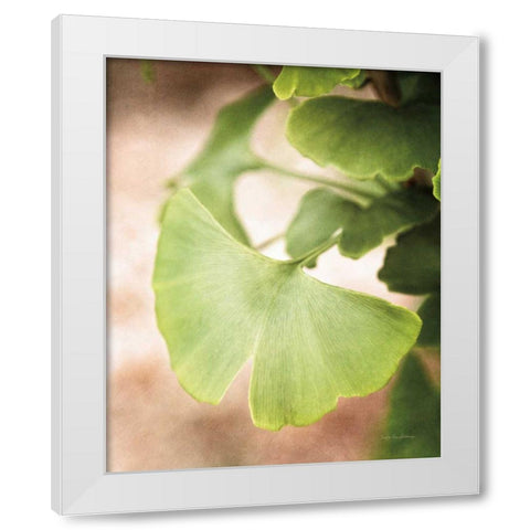 Sprouting Ginkgo III White Modern Wood Framed Art Print by Van Swearingen, Debra