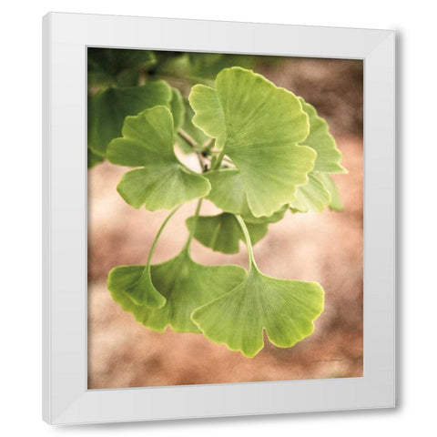 Sprouting Ginkgo IV White Modern Wood Framed Art Print by Van Swearingen, Debra