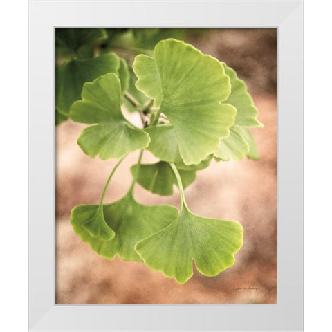 Sprouting Ginkgo IV White Modern Wood Framed Art Print by Van Swearingen, Debra