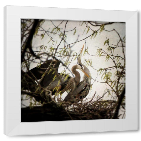 Connection White Modern Wood Framed Art Print by Van Swearingen, Debra
