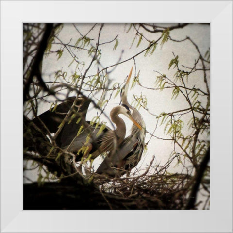 Connection White Modern Wood Framed Art Print by Van Swearingen, Debra