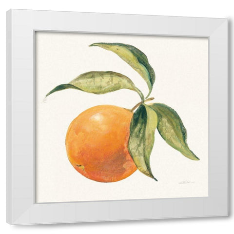 Le Orange on Cream White Modern Wood Framed Art Print by Vassileva, Silvia