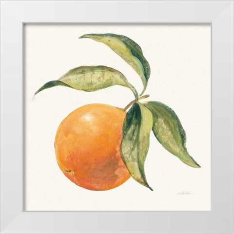 Le Orange on Cream White Modern Wood Framed Art Print by Vassileva, Silvia