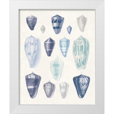Blue Shell Assortment I White Modern Wood Framed Art Print by Wild Apple Portfolio