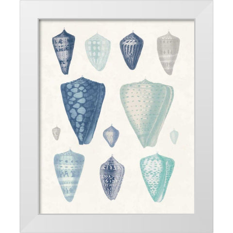 Blue Shell Assortment II White Modern Wood Framed Art Print by Wild Apple Portfolio