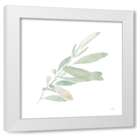 Sage I White Modern Wood Framed Art Print by Pete, Katrina