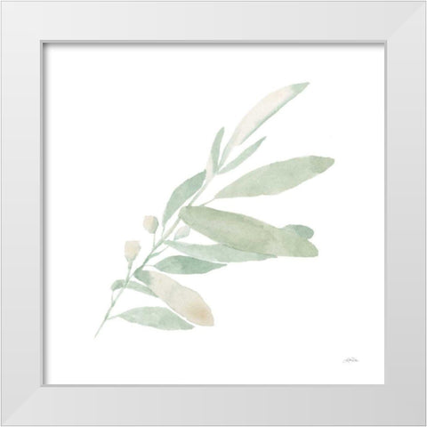 Sage I White Modern Wood Framed Art Print by Pete, Katrina