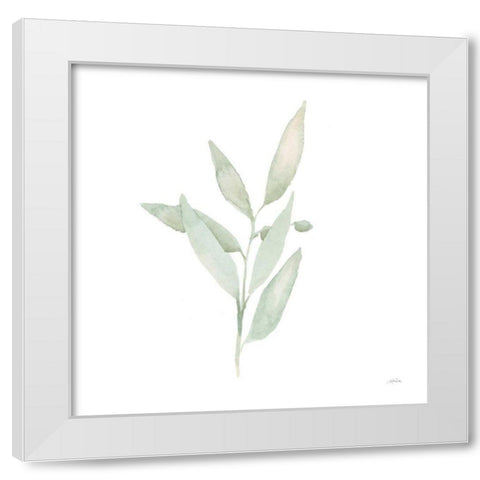 Sage II White Modern Wood Framed Art Print by Pete, Katrina