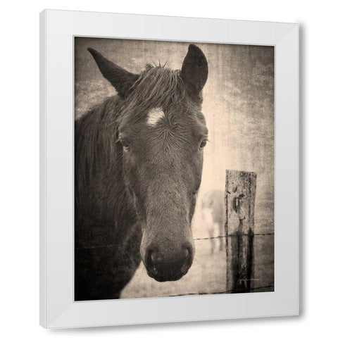 Heres Looking at You I White Modern Wood Framed Art Print by Van Swearingen, Debra