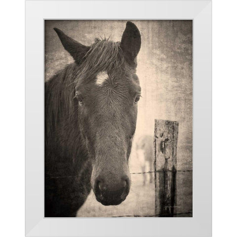 Heres Looking at You I White Modern Wood Framed Art Print by Van Swearingen, Debra