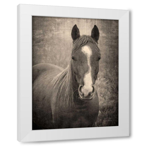 Heres Looking at You II White Modern Wood Framed Art Print by Van Swearingen, Debra