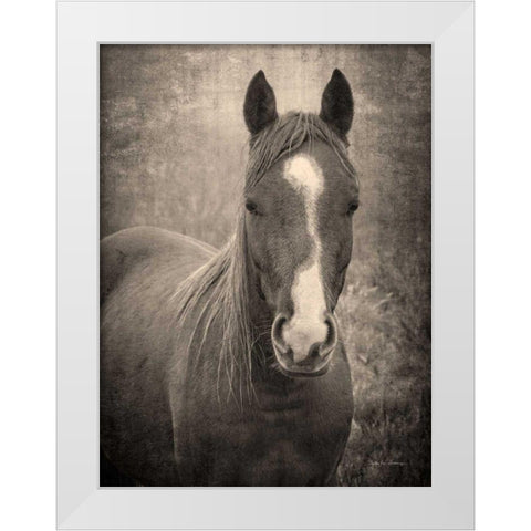 Heres Looking at You II White Modern Wood Framed Art Print by Van Swearingen, Debra