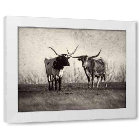 Texas Longhorns White Modern Wood Framed Art Print by Van Swearingen, Debra