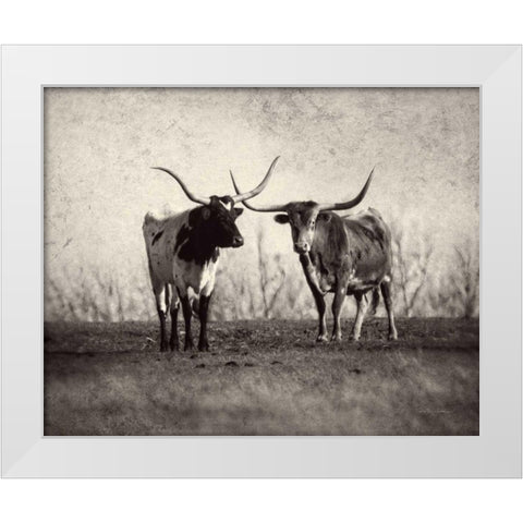 Texas Longhorns White Modern Wood Framed Art Print by Van Swearingen, Debra