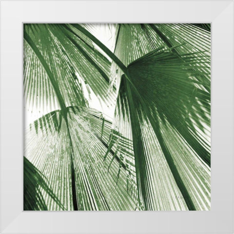 Leaf Abstract III Green White Modern Wood Framed Art Print by Goldstein, Ed