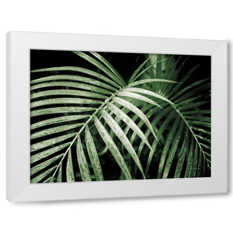 Palm Fronds Green White Modern Wood Framed Art Print by Van Swearingen, Debra