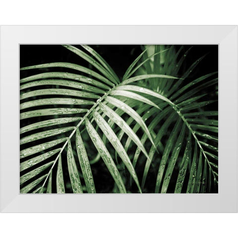Palm Fronds Green White Modern Wood Framed Art Print by Van Swearingen, Debra
