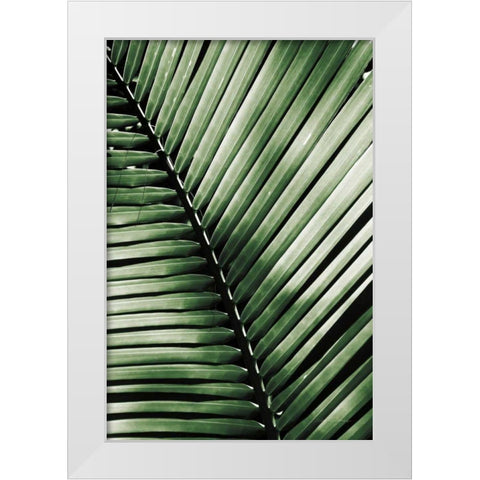 Palm Frond I Green White Modern Wood Framed Art Print by Van Swearingen, Debra