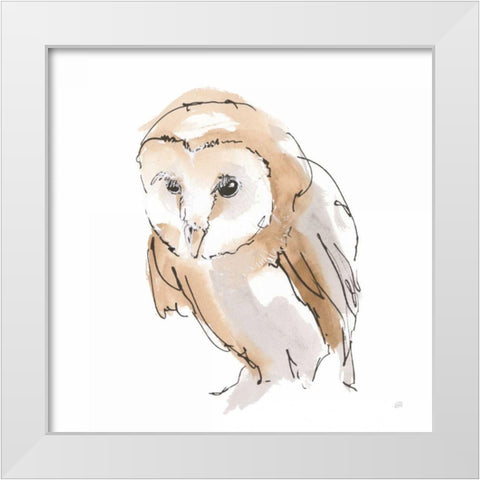 Barn Owl I White Modern Wood Framed Art Print by Paschke, Chris
