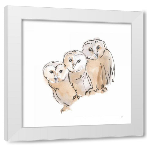 Barn Owl III White Modern Wood Framed Art Print by Paschke, Chris