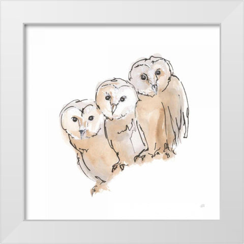 Barn Owl III White Modern Wood Framed Art Print by Paschke, Chris