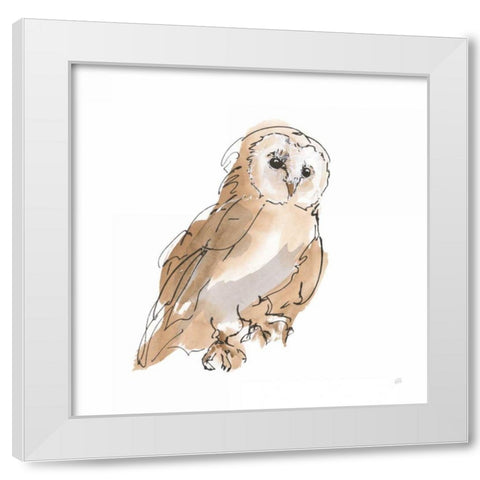 Barn Owl IV White Modern Wood Framed Art Print by Paschke, Chris