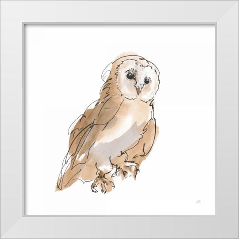 Barn Owl IV White Modern Wood Framed Art Print by Paschke, Chris