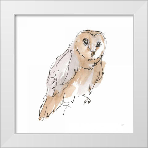 Barn Owl VI White Modern Wood Framed Art Print by Paschke, Chris