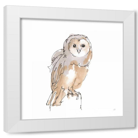Barn Owl VIII White Modern Wood Framed Art Print by Paschke, Chris