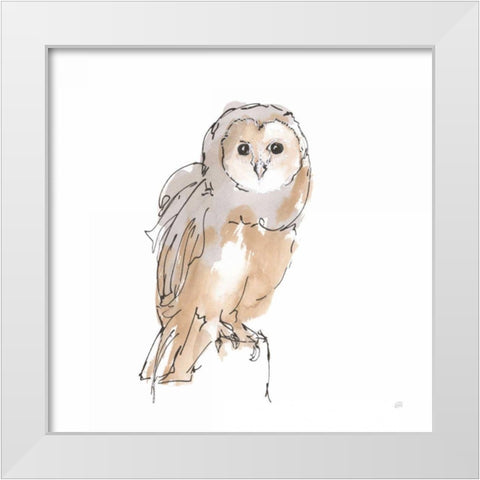 Barn Owl VIII White Modern Wood Framed Art Print by Paschke, Chris
