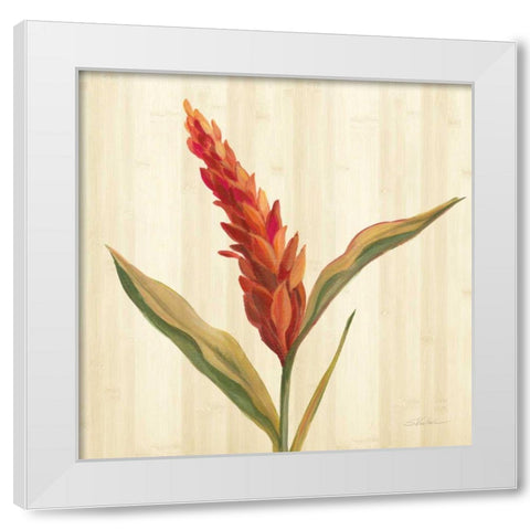 Tropical Garden II White Modern Wood Framed Art Print by Vassileva, Silvia