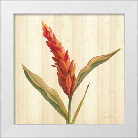 Tropical Garden II White Modern Wood Framed Art Print by Vassileva, Silvia
