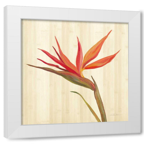 Tropical Garden IV White Modern Wood Framed Art Print by Vassileva, Silvia