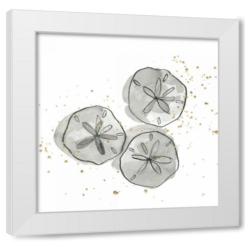 Sand Dollar III White Modern Wood Framed Art Print by Paschke, Chris