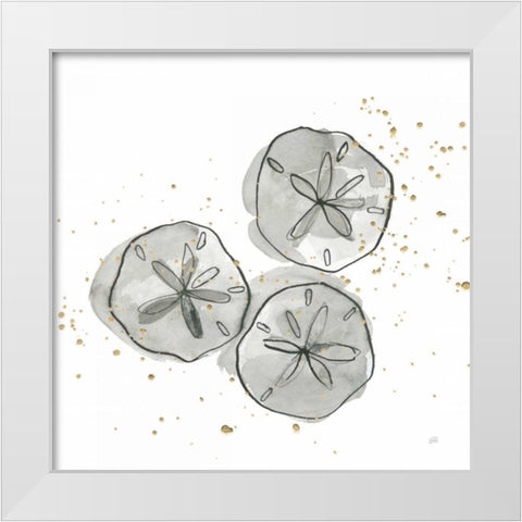 Sand Dollar III White Modern Wood Framed Art Print by Paschke, Chris