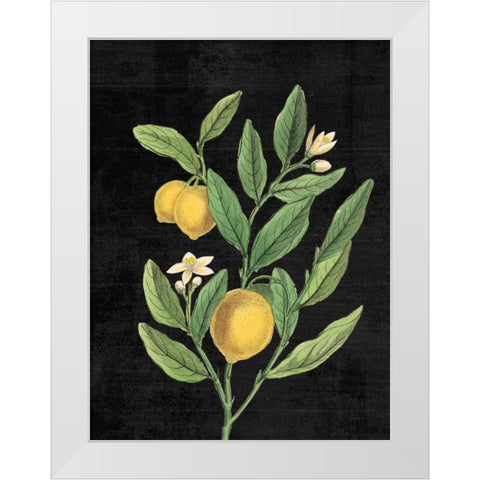 Classic Citrus V Black No Words White Modern Wood Framed Art Print by Schlabach, Sue