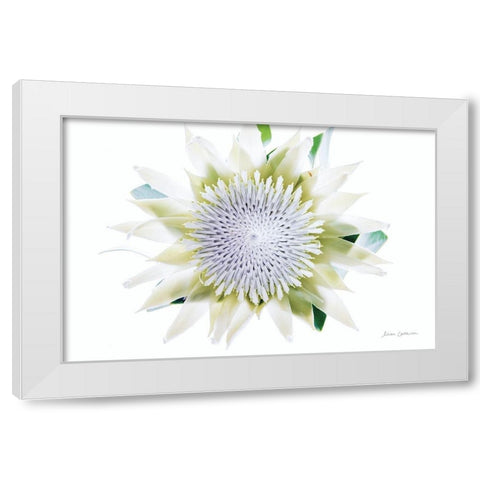 Protea Center I White Modern Wood Framed Art Print by Catterall, Elise