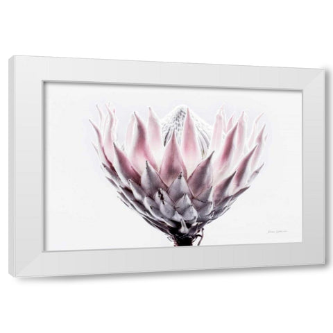 Pale Protea Detail II White Modern Wood Framed Art Print by Catterall, Elise